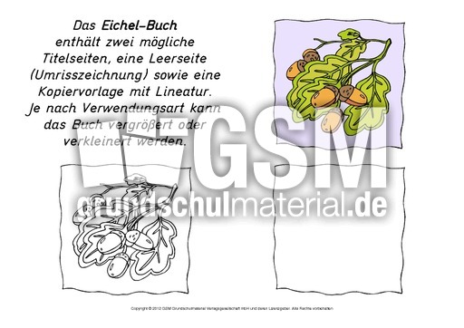 Mini-Buch-Eichel.pdf